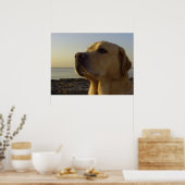 Proud Boy Poster (Küche)