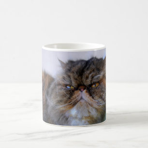 Proud Calico Persian Cat Coffee Tasse