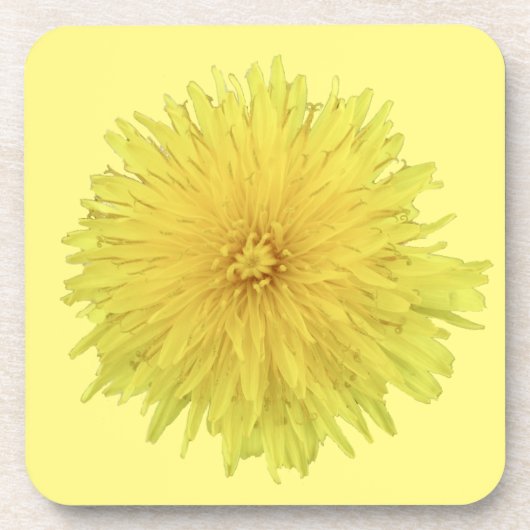 Proud Dandelion Blume - transparent. Getränkeuntersetzer (Vorderseite)
