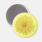 Proud Dandelion Blume - transparent. Magnet (Vorderseite/Rückseite)