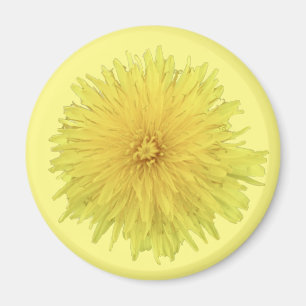 Proud Dandelion Blume - transparent. Magnet