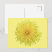 Proud Dandelion Blume - transparent. Postkarte (Vorne/Hinten)