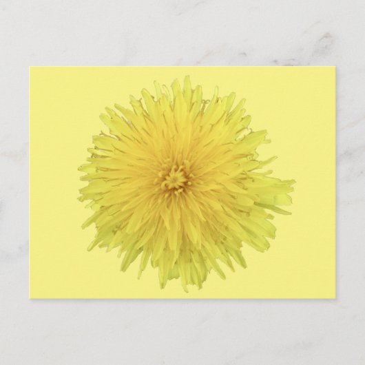 Proud Dandelion Blume - transparent. Postkarte (Vorderseite)