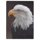 Proud Eagle Clipboard Klemmbrett (Rückseite)