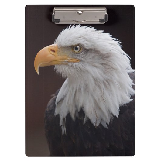 Proud Eagle Clipboard Klemmbrett (Vorderseite)