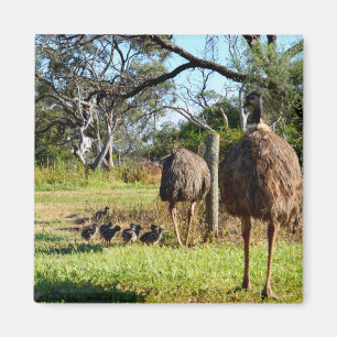 Proud Emu Eltern, Kühlschrankmagnet