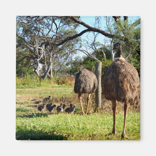 Proud Emu Eltern, Kühlschrankmagnet (Vorne)