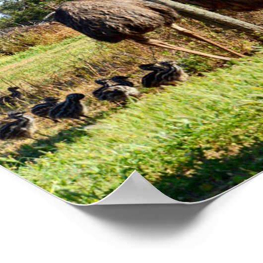 Proud Emu Eltern, Poster (Ecke)