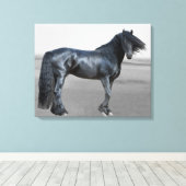 Proud Friesian Black Hengst Leinwanddruck (Insitu (Holzboden))