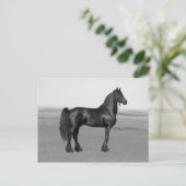 Proud Friesian Black Hengst Postkarte (Stehend Vorderseite)