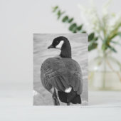 Proud Goose Postkarte (Stehend Vorderseite)