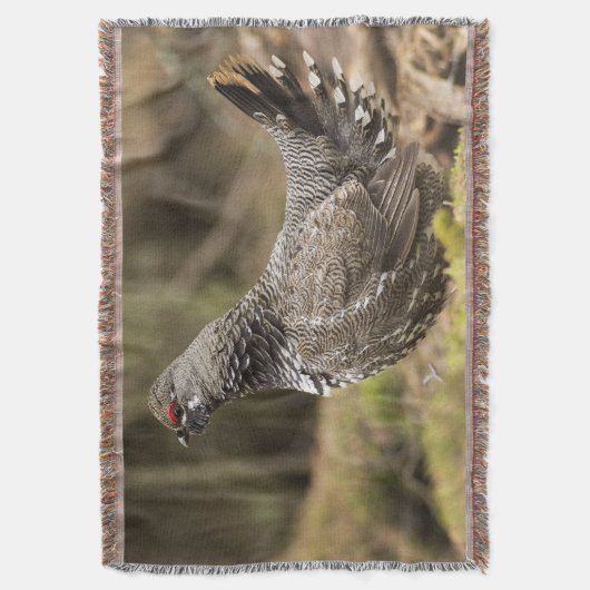 Proud Grouse Decke (Vorderseite Vertikal)