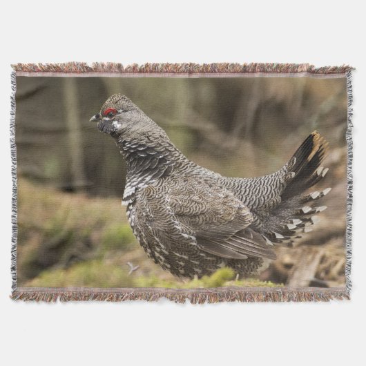 Proud Grouse Decke (Vorderseite)