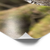 Proud Grouse Fotodruck (Ecke)