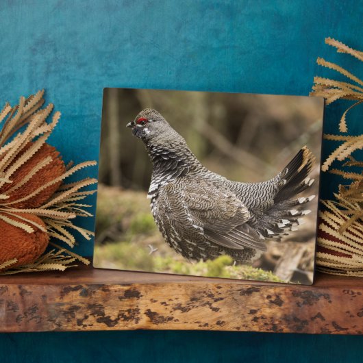 Proud Grouse Fotoplatte (Seite)