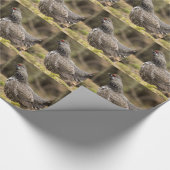 Proud Grouse Geschenkpapier (Ecke)