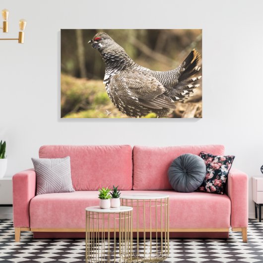 Proud Grouse Leinwanddruck (Insitu (Wohnzimmer))