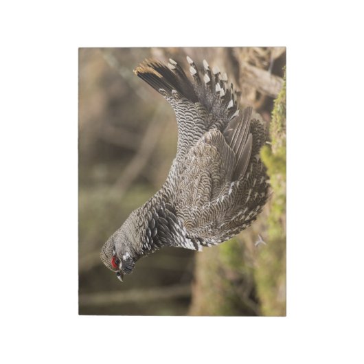 Proud Grouse Notizblock (Rotiert)