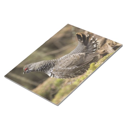 Proud Grouse Notizblock (angewinkelt)