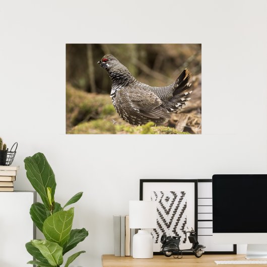 Proud Grouse Poster (Heimbüro)