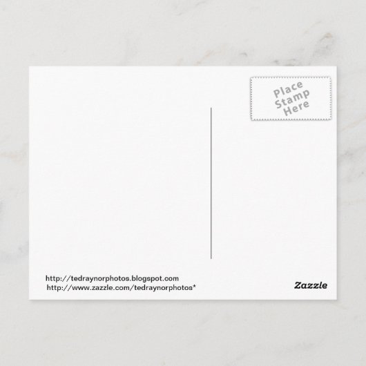 Proud Grouse Postkarte (Rückseite)