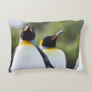 Proud King Pinguins Foto Dekokissen