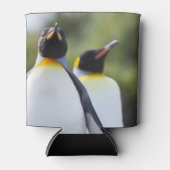 Proud King Pinguins Foto Dosenkühler (Vorderseite)