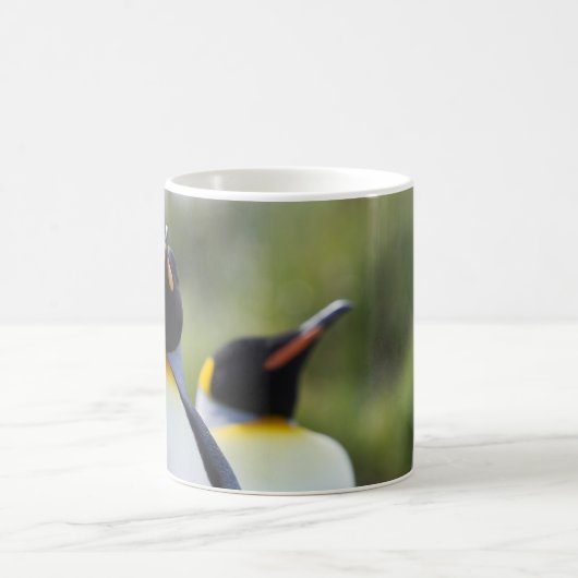 Proud King Pinguins Foto Kaffeetasse (Mittel)
