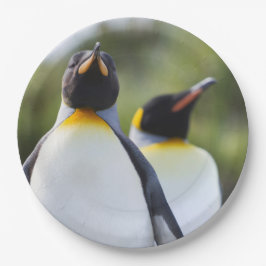 Proud King Pinguins Foto Pappteller