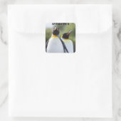 Proud King Pinguins Foto Quadratischer Aufkleber (Tasche)