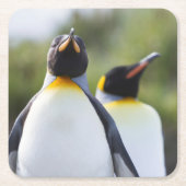 Proud King Pinguins Foto Rechteckiger Pappuntersetzer (Vorderseite)