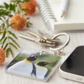 Proud King Pinguins Foto Schlüsselanhänger (Vorderseite rechts)