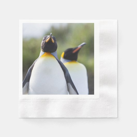 Proud King Pinguins Foto Serviette (Vorderseite)