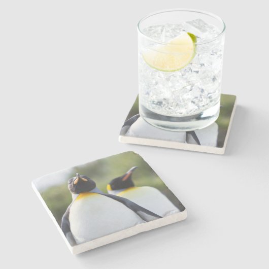 Proud King Pinguins Foto Steinuntersetzer (Seitenansicht)