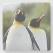 Proud King Pinguins Foto Steinuntersetzer (Vorderseite)