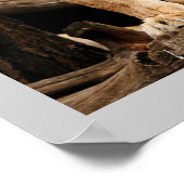 Proud Lioness Poster (Ecke)