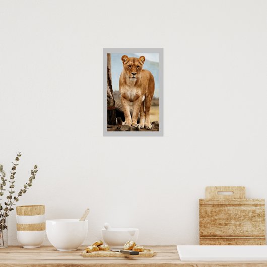 Proud Lioness Poster (Küche)