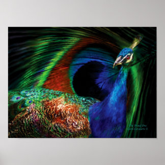 Proud One Peacock Art Poster/Print Poster