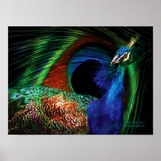 Proud One Peacock Art Poster/Print Poster (Vorne)
