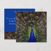Proud Peacock ABSCHLUSS Einladung (Vorne/Hinten)