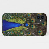 Proud Peacock iPhone-Gehäuse Case-Mate iPhone Hülle (Rückseite (Horizontal))