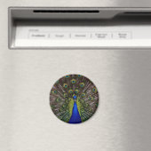 Proud Peacock-MagMagnet Magnet (In Situ (Geschirrspüler))