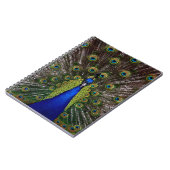 Proud Peacock Notebook Notizblock (Linke Seite)