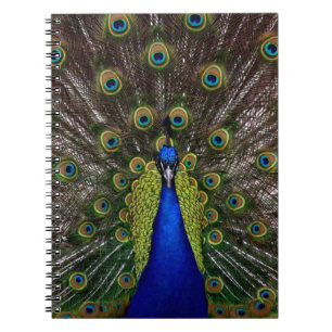 Proud Peacock Notebook Notizblock