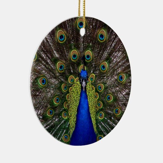 Proud Peacock Ornament (Rechts)