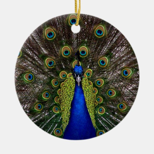 Proud Peacock Ornament (Vorne)