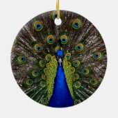 Proud Peacock Ornament (Hinten)