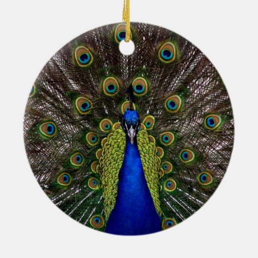 Proud Peacock Ornament (Hinten)