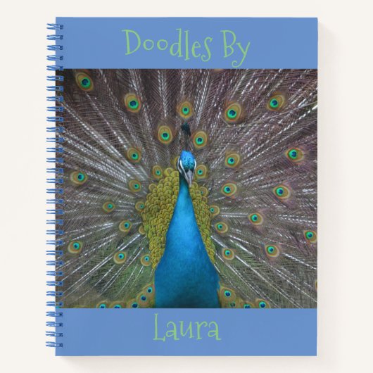 Proud Peacock Sketchbook Notizblock (Vorderseite)