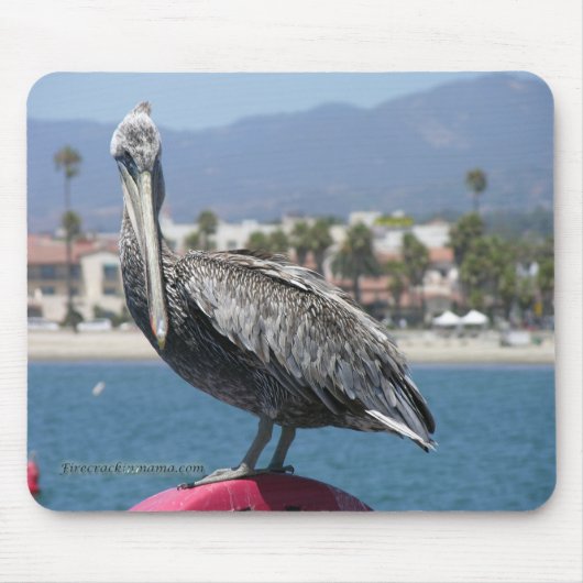 Proud Pelican Mousepad (Vorne)